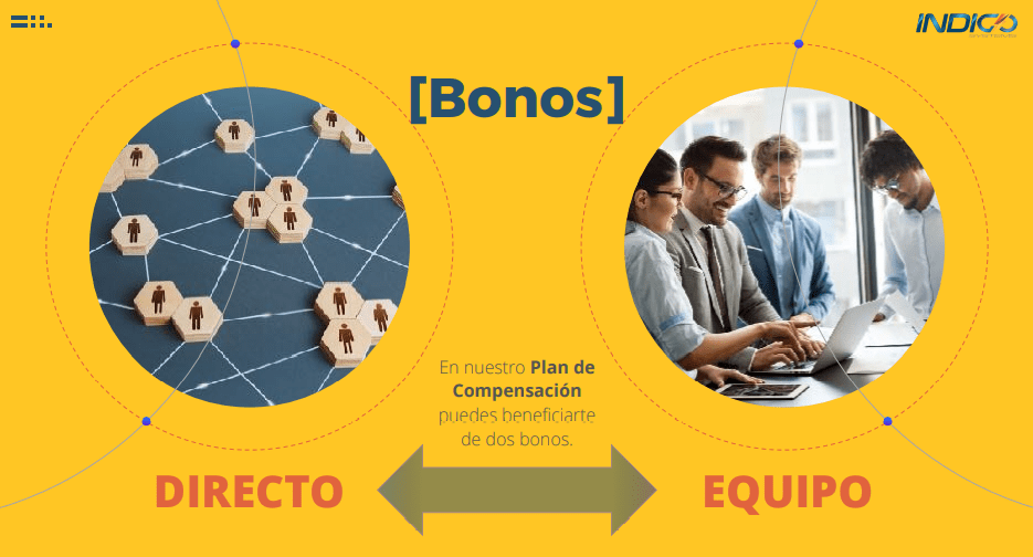 Bono INDIGO Systems