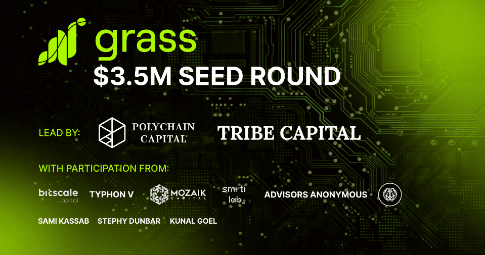 Grass Seed Phase